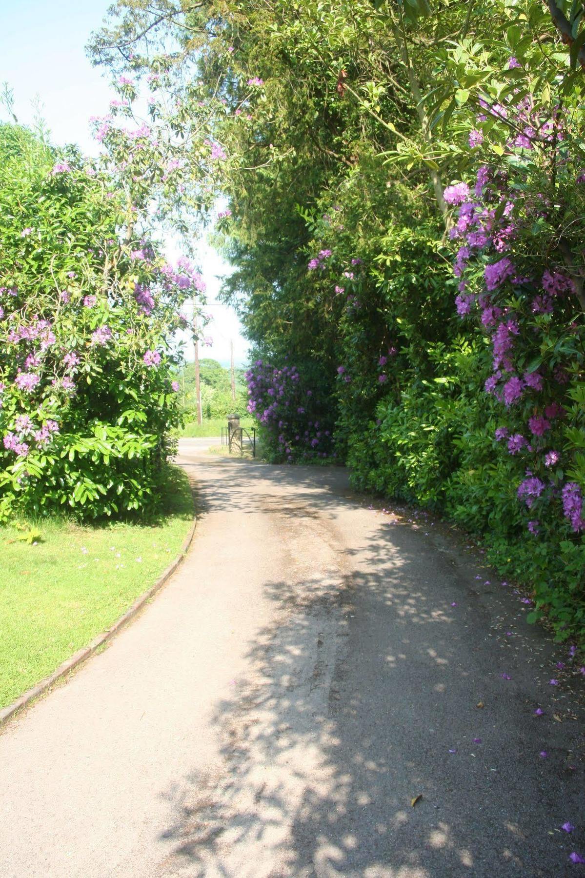 Oakdown Court B&B Wadhurst Extérieur photo